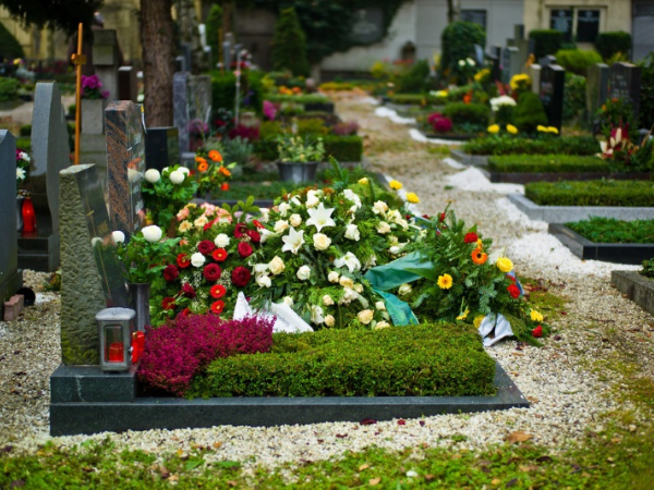 Какие цветы посадить на кладбище?