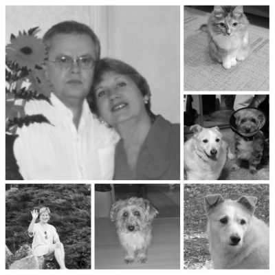 Царегородцева (Клочко в девичестве, Род Клочко-Сотрихины)